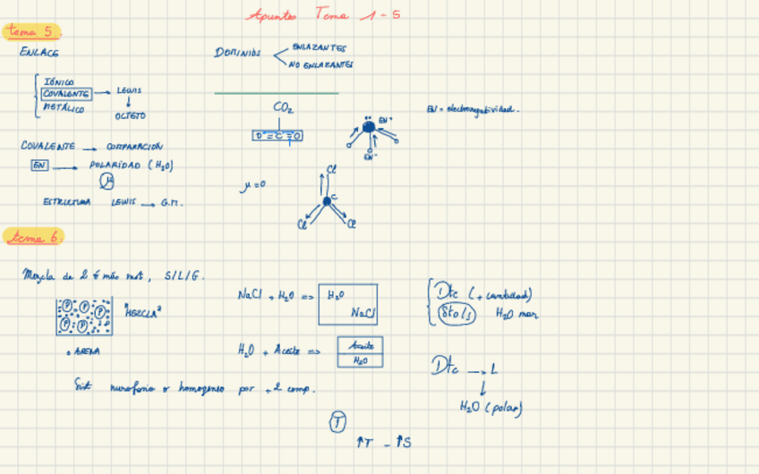 Miniatura del documento APUNTES-TEMAS-1-8.pdf