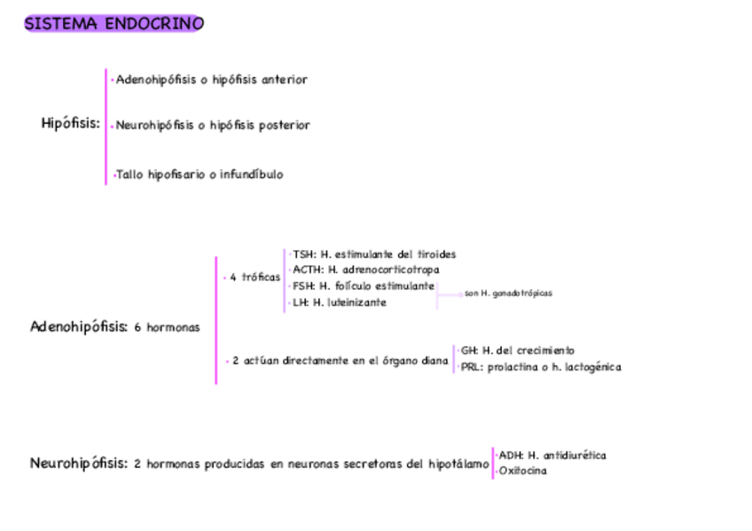 Miniatura del documento esquema-sistema-endocrino.pdf