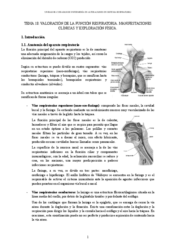 Miniatura del documento Clinica-I-18-24-25-bloque-III.pdf
