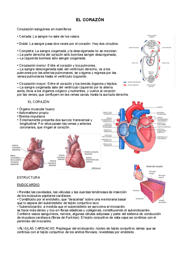 Miniatura del documento tema-2.-organo.pdf