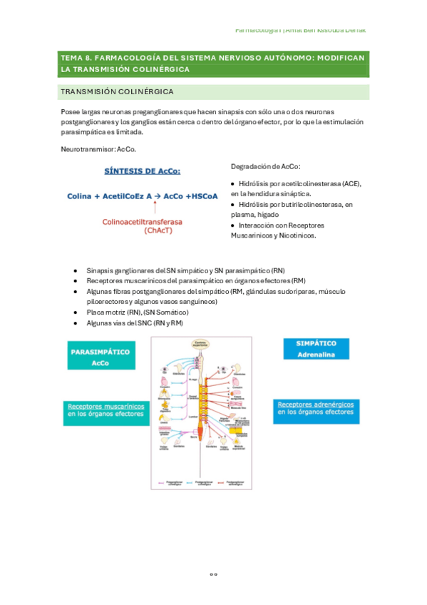 Miniatura del documento Tema-8.-Farmacologia-del-sistema-nervioso-autonomo-modificacion-de-la-transmision-colinergica.pdf