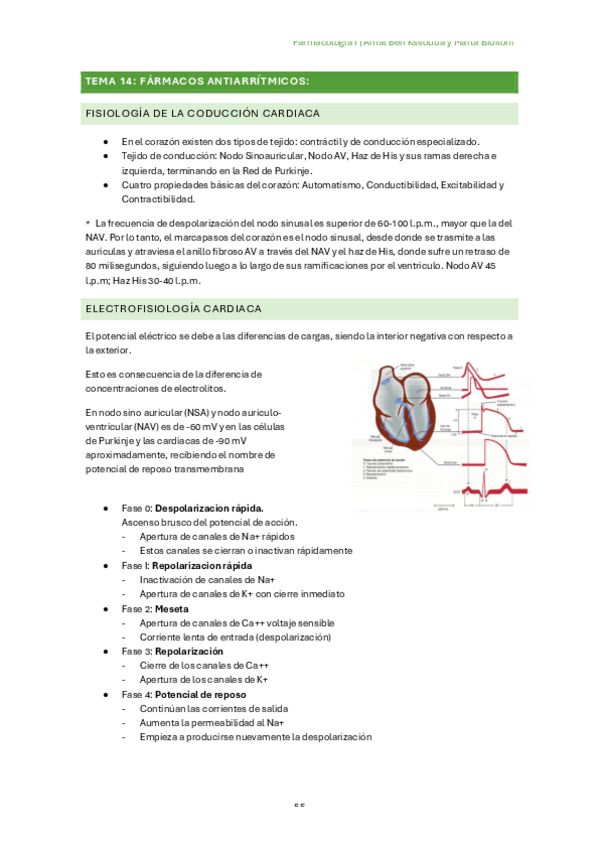 Miniatura del documento Tema-14.-Farmacos-antiarritmicos.pdf
