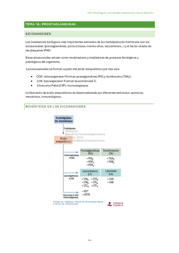 Miniatura del documento Tema-16.-Prostaglandinas.pdf