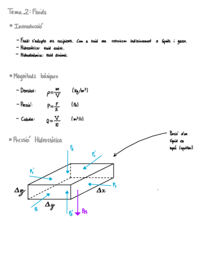 Miniatura del documento Tema-2-Fluids.pdf
