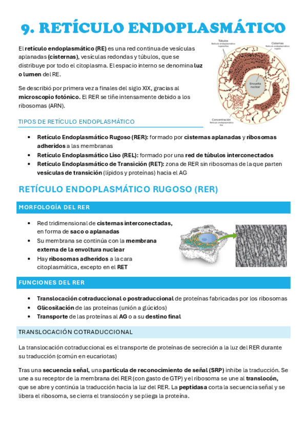 Miniatura del documento BIOLOGIA CELULAR PARTE 2.pdf