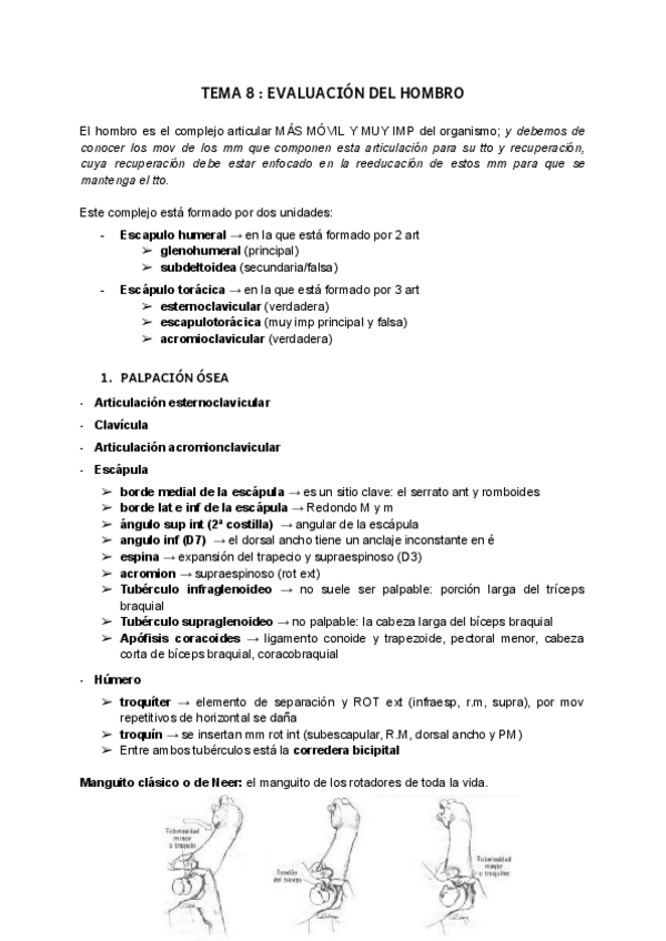 Miniatura del documento t8valoracion.pdf