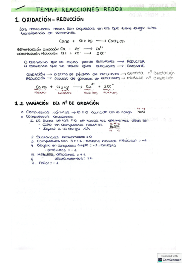 Miniatura del documento TEMA-7.-REACCIONES-REDOX.pdf