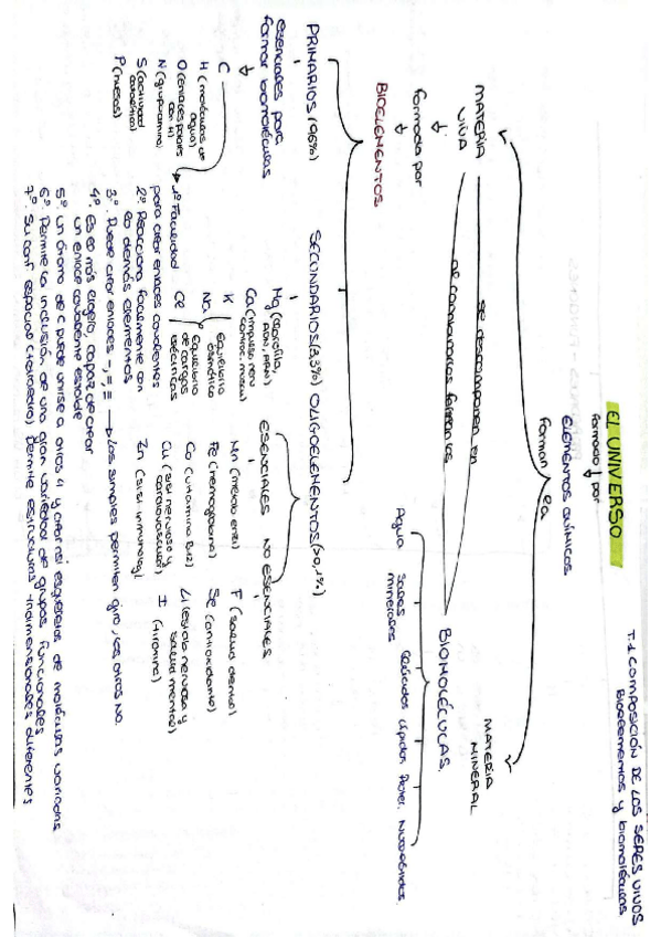 Miniatura del documento TEMA-1.-BIOMOLECULAS-Y-BIOELEMENTOS.pdf
