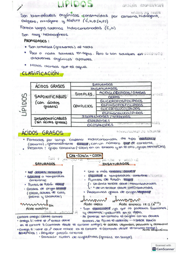 Miniatura del documento TEMA-3.-LIPIDOS.pdf