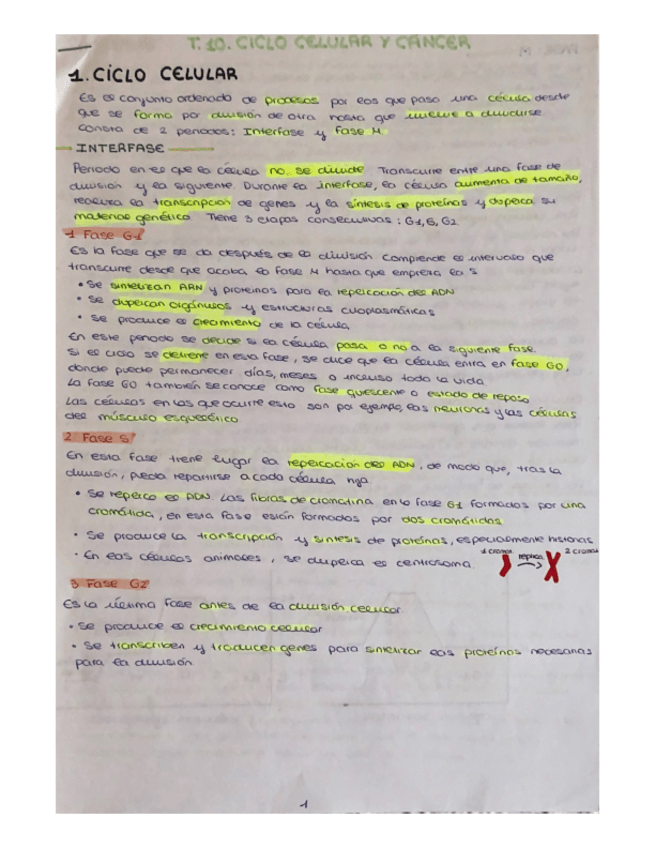 Miniatura del documento TEMA-10.-CICLO-CELULAR-Y-CANCER.pdf