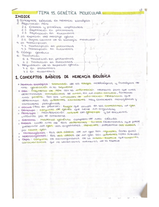 Miniatura del documento TEMA-15.-GENETICA-MOLECULAR.pdf