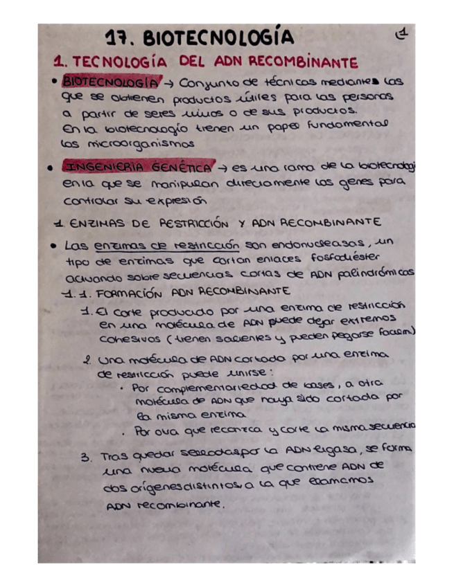 Miniatura del documento TEMA-17.-BIOTECNOLOGIA.pdf