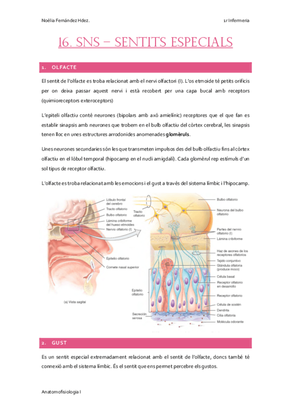 Miniatura del documento 16.-SNS-SENTITS-ESPECIALS.pdf