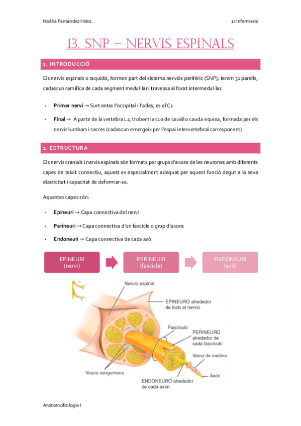 Miniatura del documento 13.-SNP-NERVIS-ESPINALS.pdf