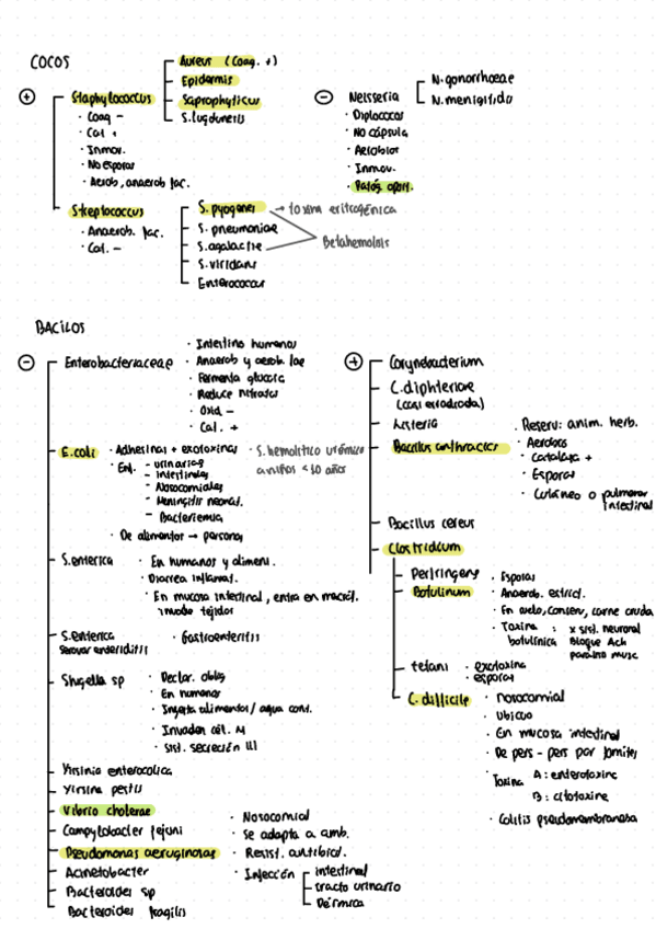 Miniatura del documento Teoria-Micro.pdf