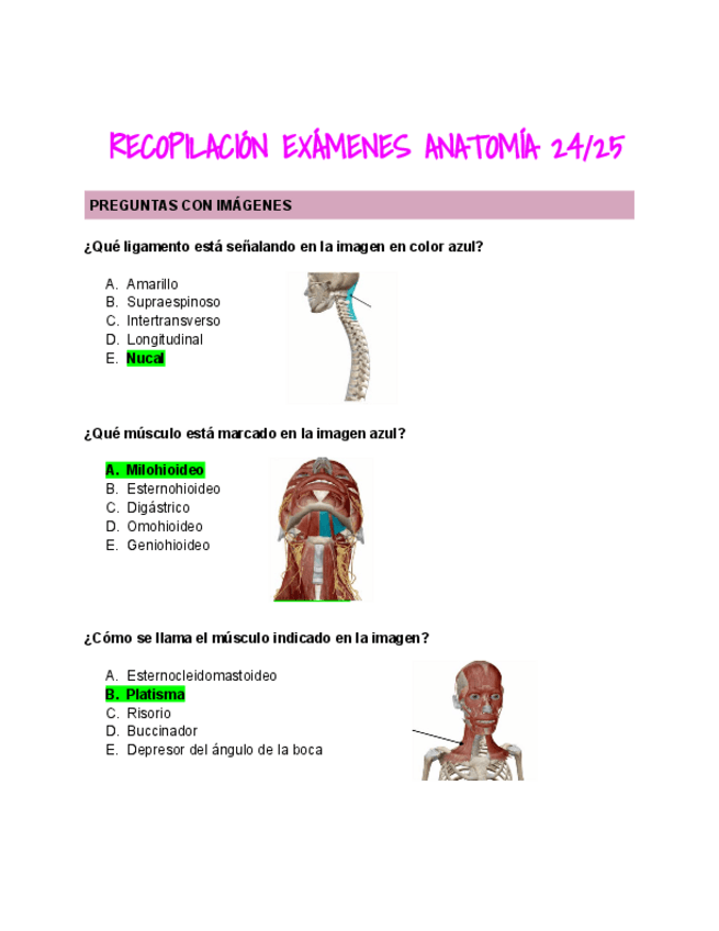 Miniatura del documento Copia-de-RECOPILACION-EXAMENES-ANATOMIA-2425.pdf