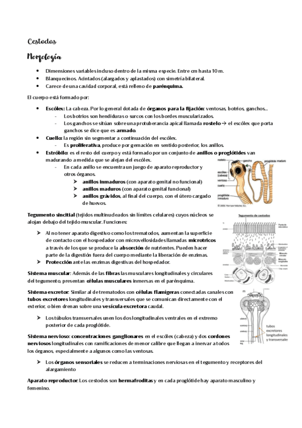 Miniatura del documento Cestodos.pdf