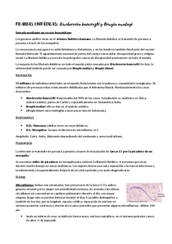 Miniatura del documento FILARIAS-LINFATICAS.pdf