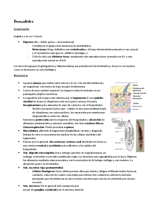 Miniatura del documento Trematodos.pdf