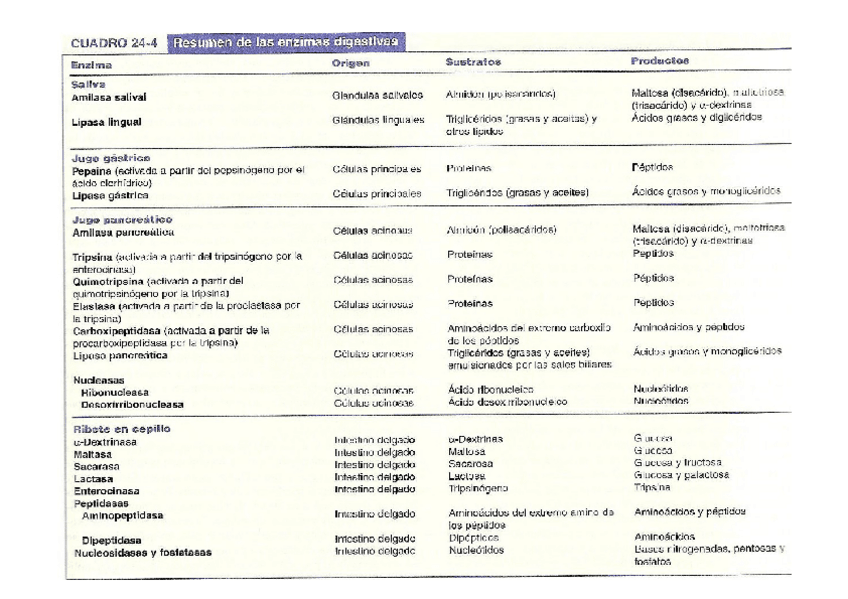 Miniatura del documento Enzimas digestivas.pdf