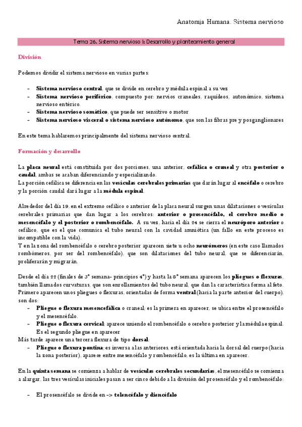 Miniatura del documento Anatomía TEMA 26 Y 27 NERVIOSO I Y II.pdf