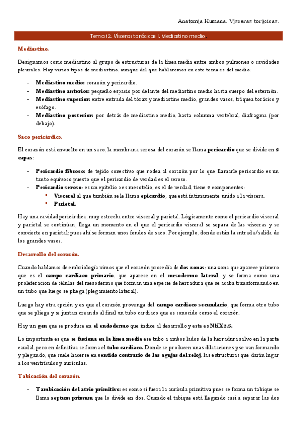 Miniatura del documento Anatomía TEMA 12- 13,14 TORACICAS.pdf