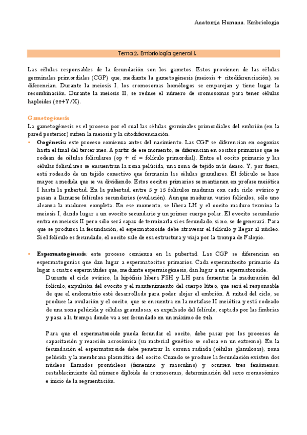 Miniatura del documento Anatomia TEMA 2- 3 Y 4 EMBRIOLOGÍA.pdf