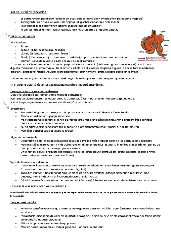 Miniatura del documento INTRODUCCIÓ als remugants.pdf
