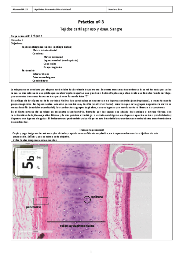 Miniatura del documento PRACTICA-03.pdf