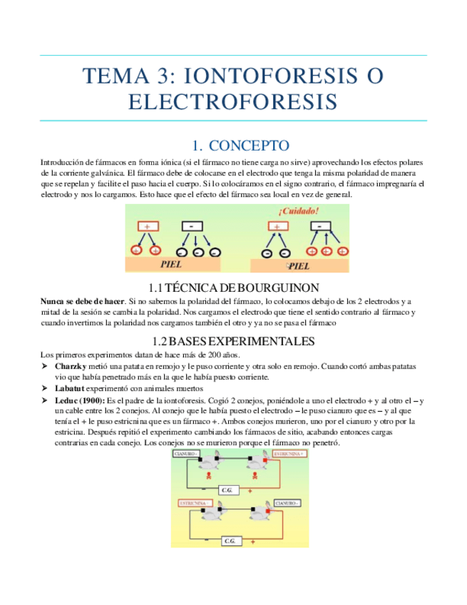 Miniatura del documento apuntes-tema-3.pdf