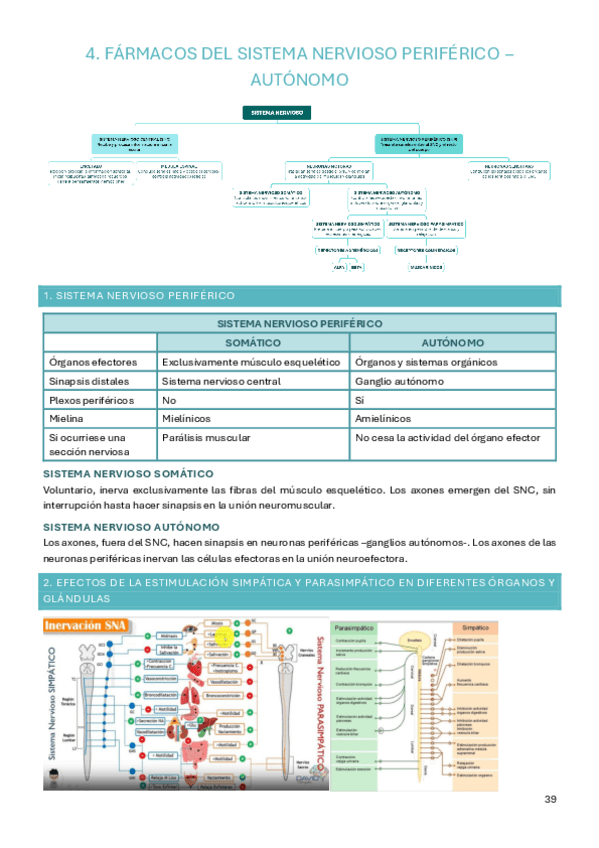 Miniatura del documento Tema-4-farma.pdf