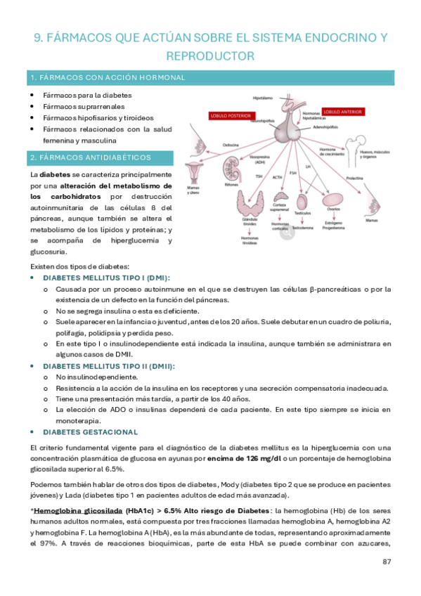 Miniatura del documento Tema-9-farma.pdf