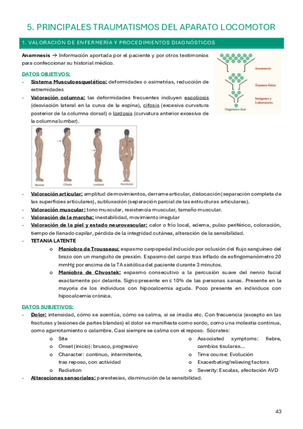 Miniatura del documento Tema-5-adulto-IV.pdf