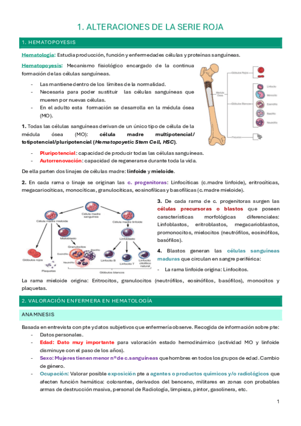 Miniatura del documento Tema-1-adulto-IV.pdf