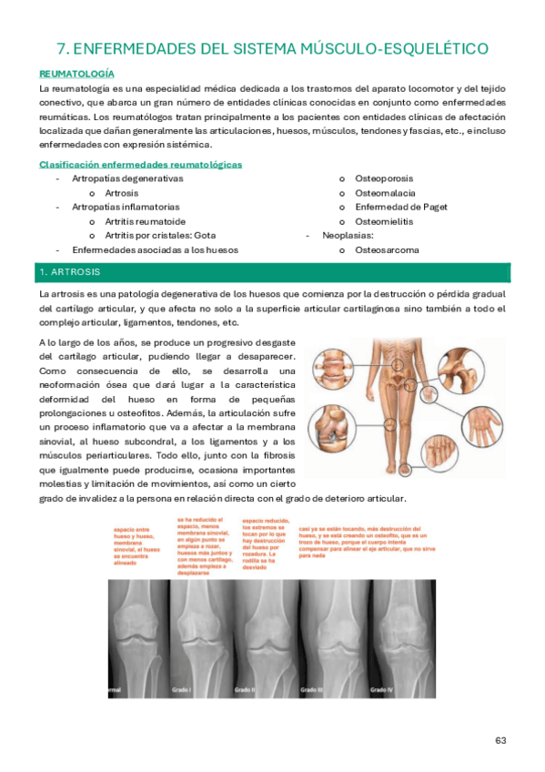 Miniatura del documento Tema-7-adulto-IV.pdf