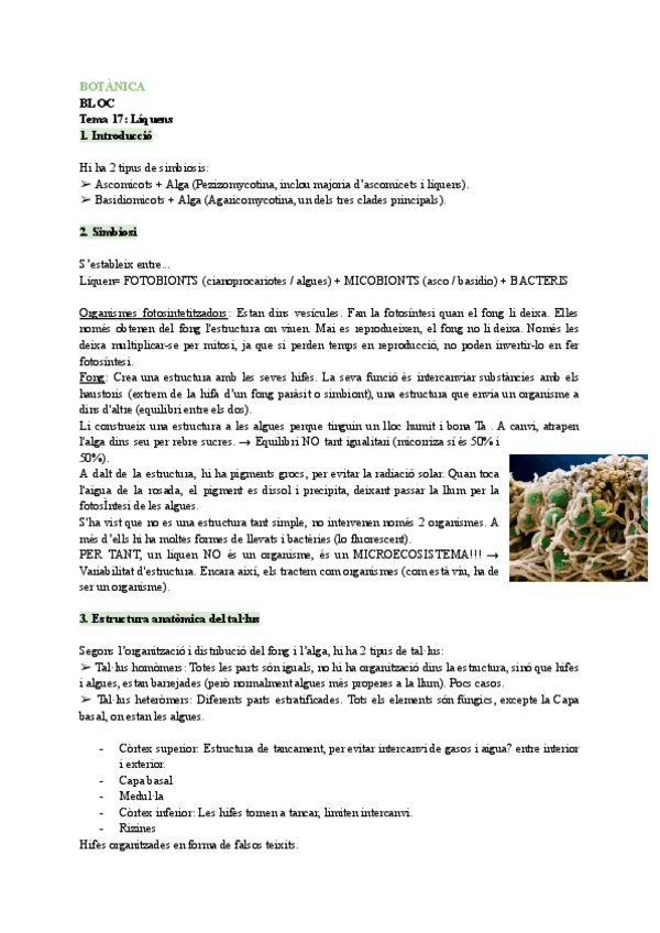 Miniatura del documento Tema-17.pdf
