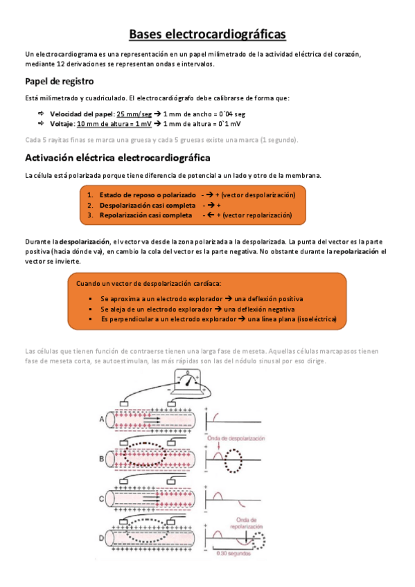 Miniatura del documento Electrocardiograma.pdf