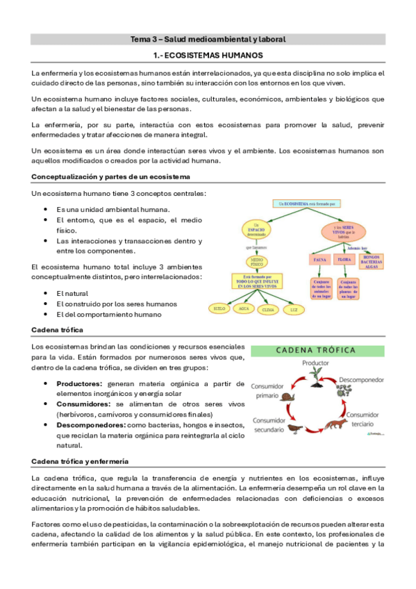 Miniatura del documento Tema-3-Comunitaria-Resumen.pdf