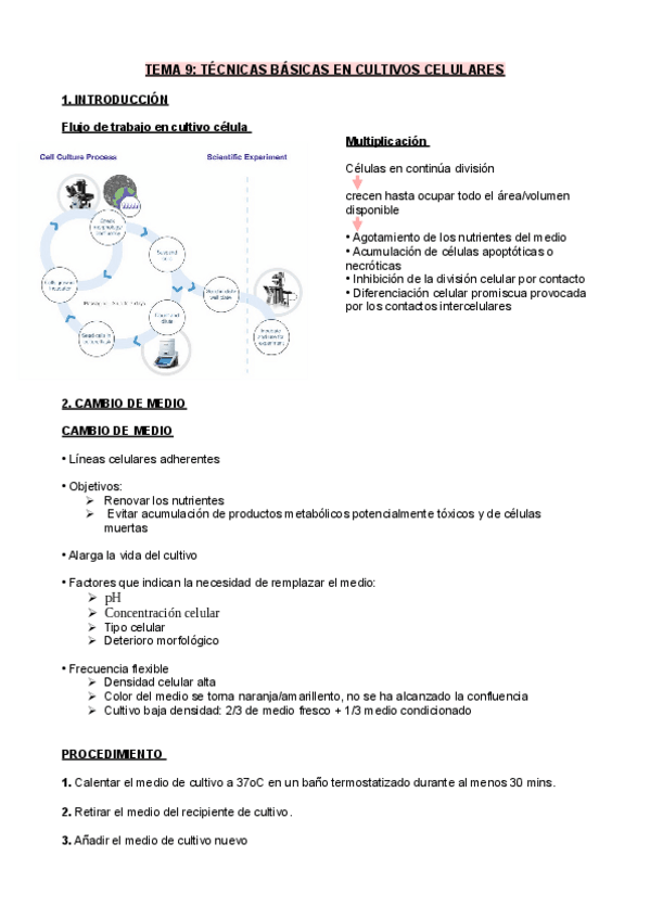 Miniatura del documento TEMA-9.pdf