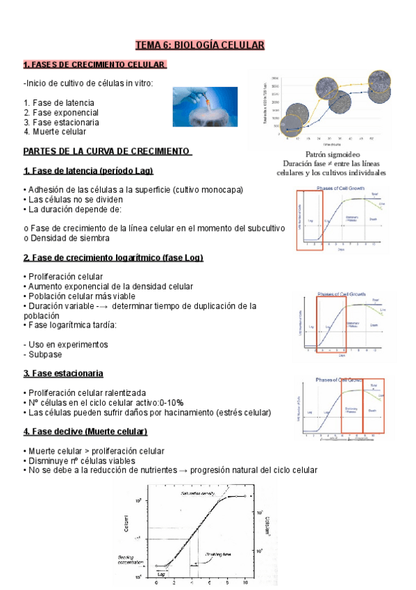 Miniatura del documento TEMA-6.pdf