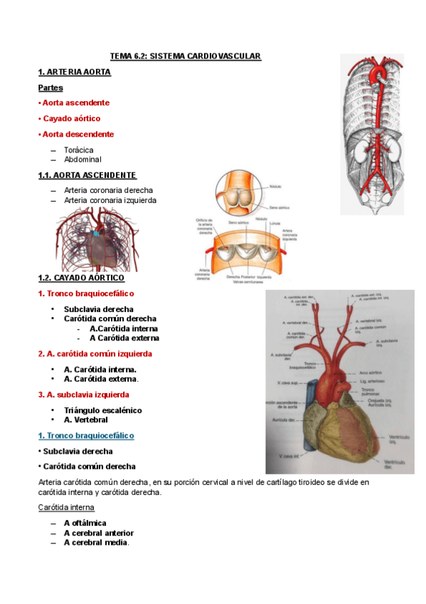 Miniatura del documento TEMA-9.pdf