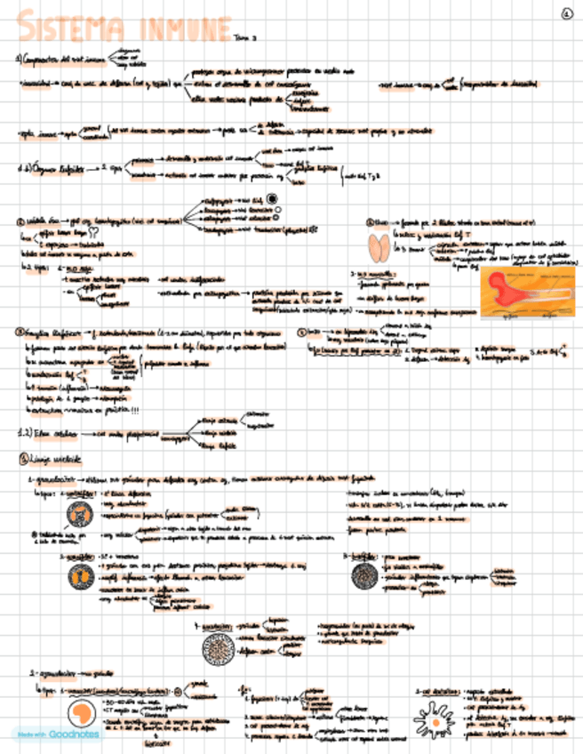 Miniatura del documento Tema-3.pdf