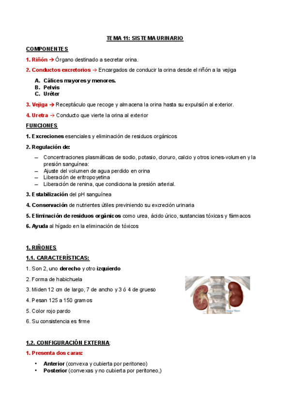 Miniatura del documento TEMA-11.pdf