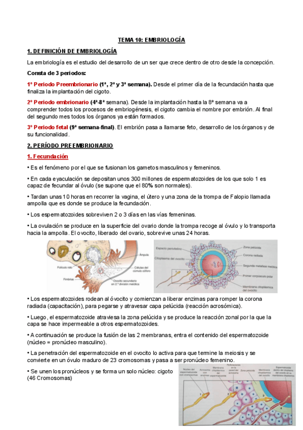Miniatura del documento TEMA-10.pdf