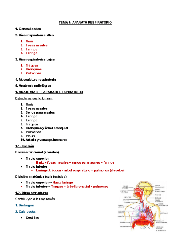 Miniatura del documento TEMA-7.1.pdf
