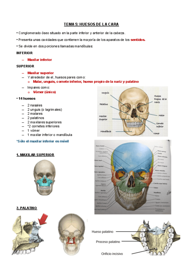 Miniatura del documento TEMA-5.pdf