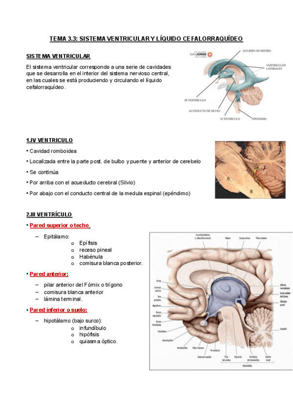 Miniatura del documento TEMA-3.3.pdf