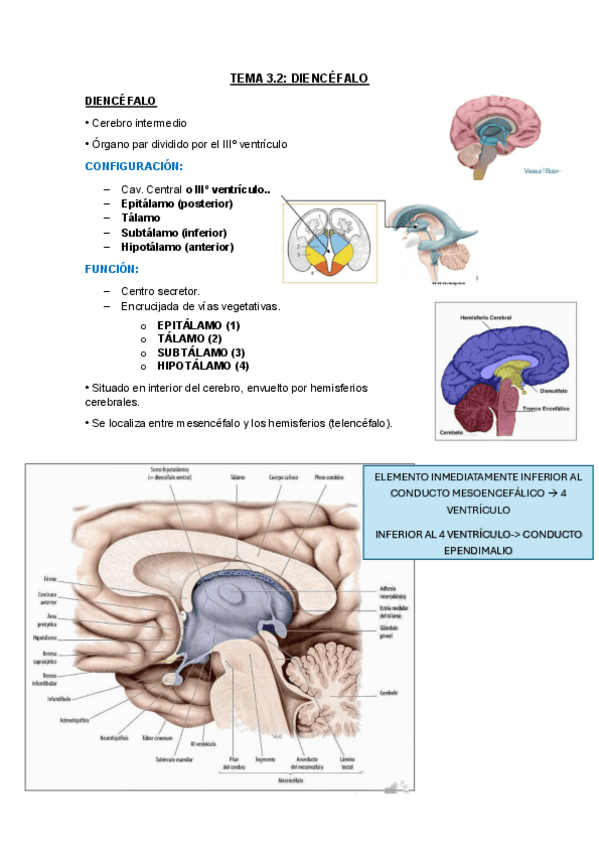 Miniatura del documento TEMA-3.2.pdf