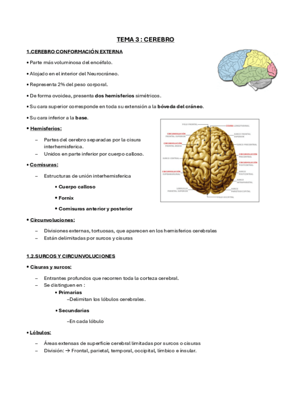 Miniatura del documento TEMA-3.1.pdf