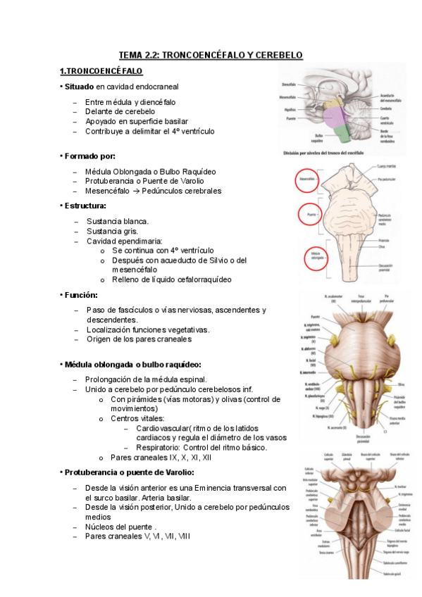 Miniatura del documento TEMA-2.2.pdf